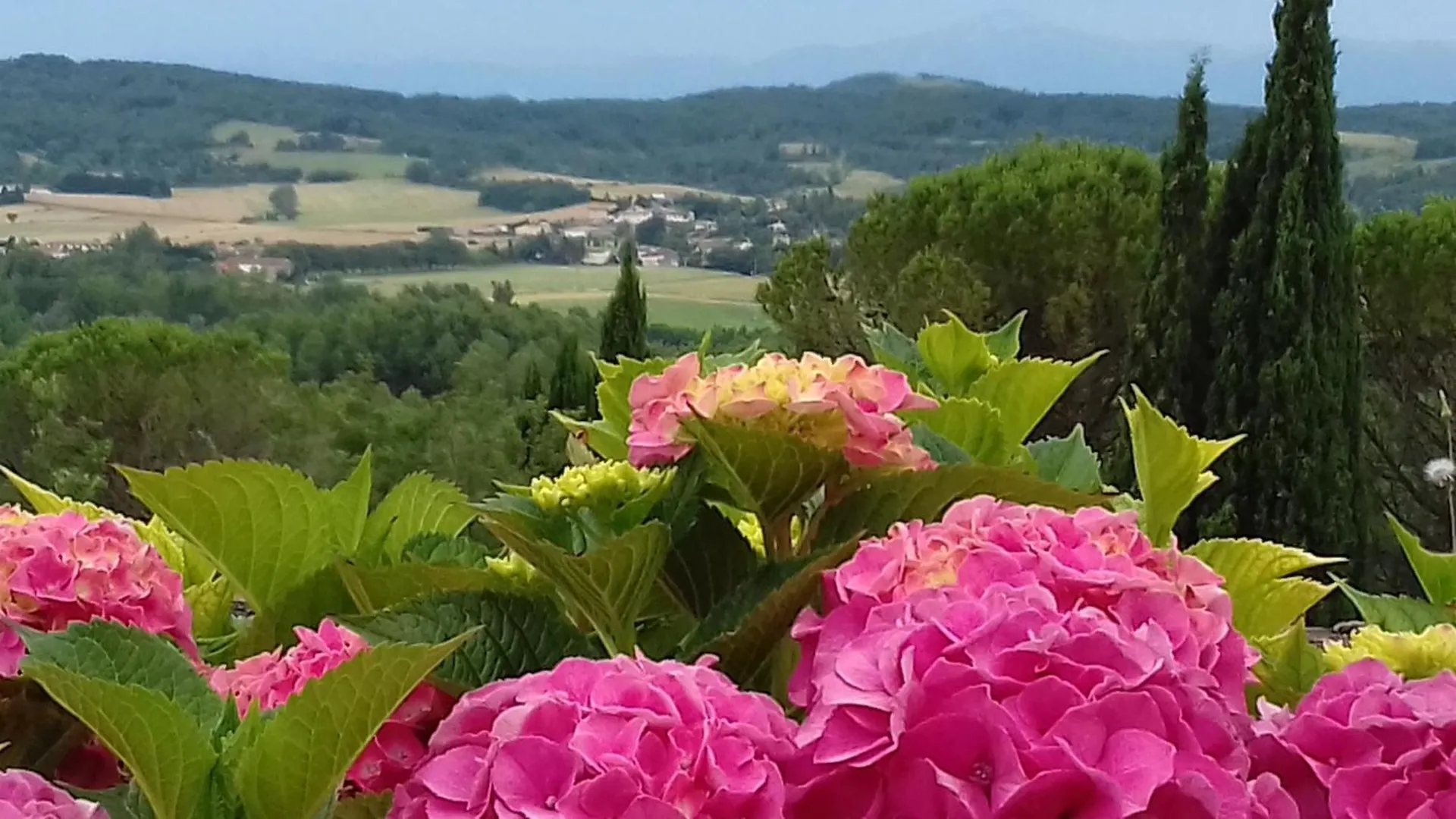 Chateau De Roques Teilhet  France